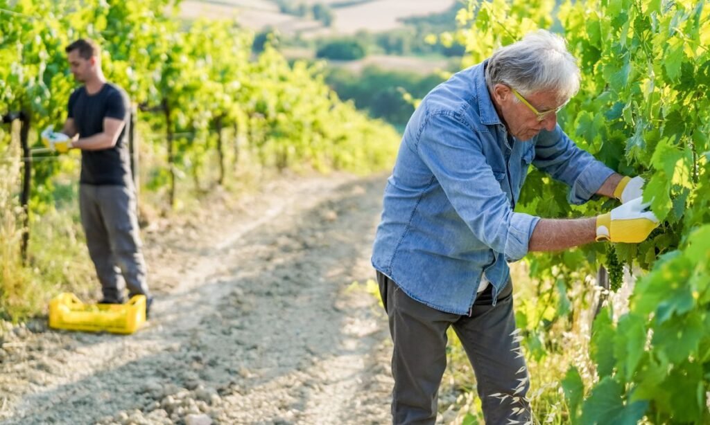 France Offers Loans to Small Businesses as Fuel Costs Climb French SMB loans